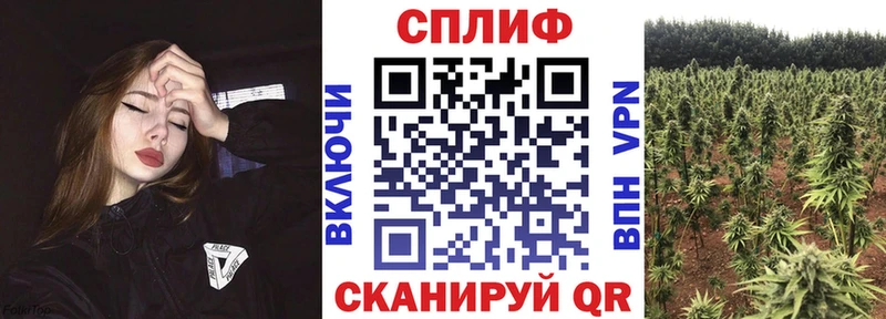 Сколько стоит Саки Cocaine Меф АМФЕТАМИН Гашиш
