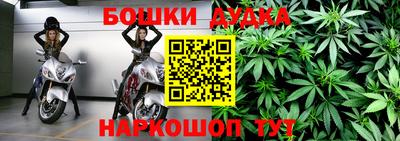 гидра Тулун