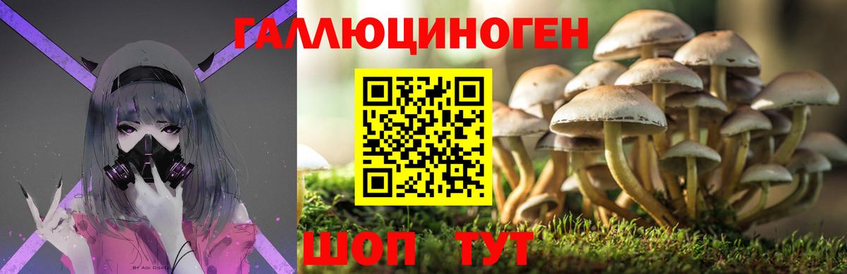 Саки  Псилоцибиновые грибы MAGIC MUSHROOMS  Вход с VPN 